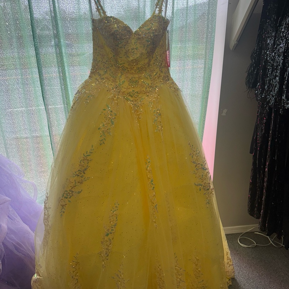 NEW Quinceanera Gown.
